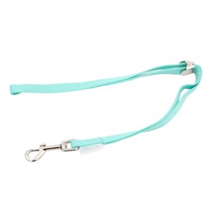 22" Grooming Loops in Turquoise - Secure and Stylish Restraints for Pet Grooming - Set of Essential Tools for Professional and Home Grooming