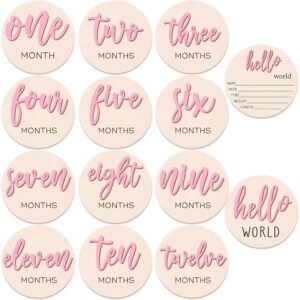 7 Pcs Baby 3D Monthly Milestone Wooden Signs Girl Baby 1-12 Months Announcement Card Sign Wood Markers Disc Block Baby Keepsake Double Sided Engraved Keepsake Photo Prop (Pink)