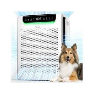 Air Purifiers for Home Large Room, Cover Up to 2600 Ftยฒ with Washable Filters, Powerful Turbo Mode, PM2.5 Air Quality Display, 22dB Sleep Mode, Air Cleaner for Pets Hair, Smoke,...