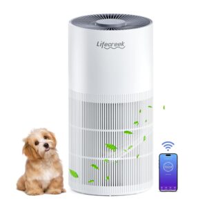 Air Purifiers for Home up to 1084 Ftยฒ, Air Purifiers for Large Rooms with Smart WiFi Control, 3-Stage Filter Air Purifiers for Bedroom 22 dB, Hepa Air Purifier Filter Cleaners...