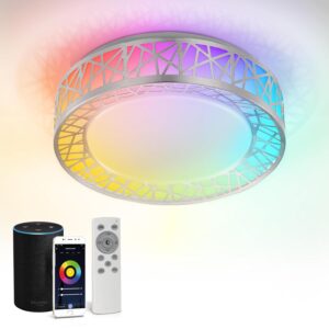 ASD 12 Inch Smart RGBW Flush Mount Ceiling Light with Remote - Brushed Nickel 20W 120V 2700-6500K Dimmable Ceiling Light Fixture, WiFi App Control RGB Lights, Alexa & Google...