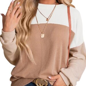 Dokotoo Womens Color Block Sweaters Long Sleeve Crewneck Pullover Knit Jumper Tops