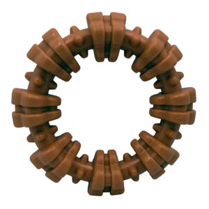 Nylabone Textured Ring Power Chew Toy for Large Dogs, Tough Dog Toys Durable Design, Dog Toys for Extreme Chewers, Flavor Medley, X-Large - 50+ lbs (1 Count)