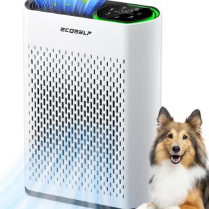 Powerful Air Purifiers for Home Large Room Up to 2400 Ft², ECOSELF HEPA Air Purifier with PM 2.5 Air Quality Display 20dB Sleep Mode, Air Purifiers for Bedroom Office Living...