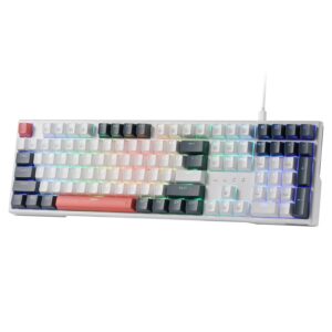 Redragon K668 RGB Gaming Keyboard, 108 Keys Wired Mechanical Keyboard w/Extra 4 Hotkeys, Sound Absorbing Foams, Upgraded Hot-swappable Socket, Mixed Color Keycaps x 2 Sets, Red...