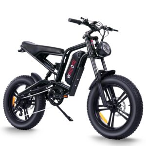Windone E2/K20 Electric Bike for Adults, 48V 13Ah/15Ah Battery, Up to 28 MPH & 46.6/60 Miles (PAS), 750/1000W Peak Ebike with All-Terrain 20"/26'' Fat Tires, UL Certified, Moped...