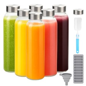 Zukro Glass Juice Bottles with Lids for Juicing 18 oz, Reusable Clear Glass Water Bottles with Stainless Steel Airtight Cap for Refrigerator, 100% Leak Proof Drinking Jar, BPA...