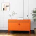 2 Door Accent Cabinet,Orange Metal Storage Cabinet with Adjustable Shelf,2-Tier Shelf,Multipurpose Metal Locker Storage for Office Home,Music Studio (Orange) by Washsemba
