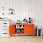 2 Door Accent Cabinet,Orange Metal Storage Cabinet with Adjustable Shelf,2-Tier Shelf,Multipurpose Metal Locker Storage for Office Home,Music Studio (Orange) by Washsemba