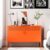 2 Door Accent Cabinet,Orange Metal Storage Cabinet with Adjustable Shelf,2-Tier Shelf,Multipurpose Metal Locker Storage for Office Home,Music Studio (Orange) by Washsemba