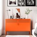 2 Door Accent Cabinet,Orange Metal Storage Cabinet with Adjustable Shelf,2-Tier Shelf,Multipurpose Metal Locker Storage for Office Home,Music Studio (Orange) by Washsemba