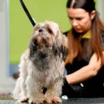 22" Grooming Loops - Black by GROOMER ESSENTIALS