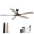60 Inch Smart Ceiling Fan with Lights Remote,Control via Alexa Google Voice App WiFi,Quiet DC Motor,Dimmable,Outdoor Indoor Modern Ceiling Fans for Large Bedroom Patio… by Livory