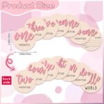 7 Pcs Baby 3D Monthly Milestone Wooden Signs Girl Baby 1-12 Months Announcement Card Sign Wood Markers Disc Block Baby Keepsake Double Sided Engraved Keepsake Photo Prop (Pink) by HIYZI