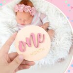 7 Pcs Baby 3D Monthly Milestone Wooden Signs Girl Baby 1-12 Months Announcement Card Sign Wood Markers Disc Block Baby Keepsake Double Sided Engraved Keepsake Photo Prop (Pink) by HIYZI