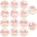 7 Pcs Baby 3D Monthly Milestone Wooden Signs Girl Baby 1-12 Months Announcement Card Sign Wood Markers Disc Block Baby Keepsake Double Sided Engraved Keepsake Photo Prop (Pink) by HIYZI