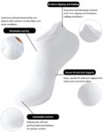 ACCFOD Womens Ankle Socks Athletic Running Low Cut Socks With Tab 6 Pairs by ACCFOD