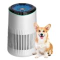Air Purifiers for Bedroom Home, Air Purifier for Smoke Odors with Fragrance Sponge, Small Air Purifier with Sleep Mode for Bedroom Office, Blue Night Light, White, 1 Pack+3 Modes by MERONTE