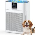 Air Purifiers for Home Large Room up to 2180 Sq Ft, DBFIT HEPA Air Purifier with Washable Nylon Pre-Filter, PM2.5 Air Quality Sensor, Air Cleaner for Pet Hair, Odor, Smoke,… by DBFIT