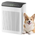 Air Purifiers for Home Large Room up to 2200sq.ft with Washable Filters, EVALIT Air Purifier for Bedroom with Fragrance, PM 2.5 Display Air Quality Sensor for Smoke Dust Odors,… by Evalit