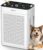 Air Purifiers for Home Large Room up to 3000sq.ft, DBFIT HEPA Double-Sided Air Purifier with Washable Filter, PM 2.5 Display Air Quality Sensor, Air Cleaner for Bedroom, Dorm… by DBFIT