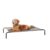 Amazon Basics Cooling Breathable Elevated Dog Bed with Metal Frame for Large Dogs, 51 x 31 x 8 Inch, Grey by Amazon Basics