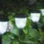 AOSEA 2 Pack Solar Outdoor Lights, IP 65 Waterproof Solar Powered Driveway Lights, Auto On/Off Path Landscape Lighting for Yard, Patio, Landscape, Pathway, Cool White by AOSEA