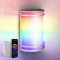 ASD 10 Inch Smart RGBW LED Outdoor & Indoor Wall Mount Light Fixture – Nickel RGB Wall Sconce Exterior Lighting – 120-277V 15W 2700-6500K Dimmable, Remote Control, Alexa – Front… by ASD