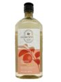 Bath & Body Works Aromatherapy Energy – Orange + Ginger Body Wash & Foam Bath, 10 Fl Oz by Bath & Body Works
