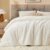 BEDELITE Fleece Queen Comforter Set -Super Soft & Warm Fluffy Cream White Bedding, Luxury Fuzzy Heavy Bed Set for Winter with 2 Pillow Cases by BEDELITE