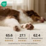 Bedsure Dog Beds Large Sized Dog - Comfy Flat Pet Beds with Removable Washable Cover, Orthopedic Egg Crate Foam Puppy Mat, Suitable for Pet Up to 65 lbs by Bedsure