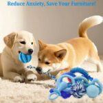 Beiker 20 Pack Puppy Chew Toys - Blue Dog Teething Toys for Puppies, Puppy Teething Rings and Ropes, Blue Rubber Toy Bundle for Small Dogs, Cute Interactive Dog Balls for Small... by Beiker