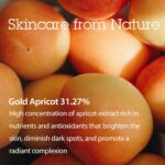 BLITHE Pressed Serum Gold Apricot Glass Skin Korean Skincare Moisturizer/Serum - Niacinamide Serum for Natural Glow & Radiance, Face Serum for Women 1.68 Fl Oz by BLITHE