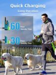 Bousnic Dog Training Collar with Remote - 4000ft Waterproof Dog Shock Collars 2 Dogs for Large Medium Small Dogs Rechargeable E Collars for Dogs Training with Beep Vibration... by BOUSNIC
