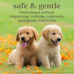 Burt's Bees for Pets Tear Free Puppy Shampoo and Conditioner - Tearless Dog Wash for Puppies, Pet Grooming Supplies, Gentle Dog Shampoo and Conditioner, Puppy Essentials for... by BURT'S BEES FOR PETS