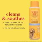 Burt's Bees for Pets Tear Free Puppy Shampoo and Conditioner - Tearless Dog Wash for Puppies, Pet Grooming Supplies, Gentle Dog Shampoo and Conditioner, Puppy Essentials for... by BURT'S BEES FOR PETS