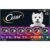Cesar Wet Dog Food Classic Loaf in Sauce Grilled Chicken, Filet Mignon, Porterhouse Steak, Beef, Chicken & Liver and Turkey Variety Pack 3.5 oz. Easy Peel Trays (36 Count, Pack… by Cesar