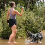 Chuckit! Dog Ball Launcher - Classic 26" with Medium (2.5"), Dog Fetch Ball Thrower, For Dogs 20-60 Pounds, Made in USA by Chuckit!