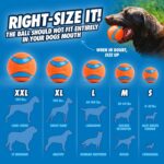 Chuckit! Dog Ball Launcher - Classic 26" with Medium (2.5"), Dog Fetch Ball Thrower, For Dogs 20-60 Pounds, Made in USA by Chuckit!