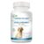 Dental Care for Dogs, Daily Supplement for Healthy Dog Gums and Teeth with Organic Kelp, Strawberry Leaf, Pumpkin Seed for Dog Mouth and Teeth Cleaning, 120 Chewable Tablets by Nutrition Strength
