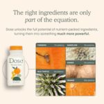 DOSE for Your Liver Cleanse Detox & Repair, Made with Organic Milk Thistle Supplement with Turmeric, Dandelion, Ginger, and Orange, Promotes Optimal Liver Function,16oz Bottle,... by DOSE
