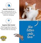 Dr. Elsey's Ultra UnScented Clumping Clay Cat Litter 40 lb. Bag by Dr. Elsey's