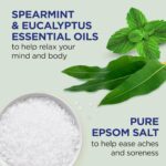 Dr Teal's Body Wash with Pure Epsom Salt, Relax & Relief with Eucalyptus & Spearmint, 24 fl oz (Pack of 4) by Dr Teal's