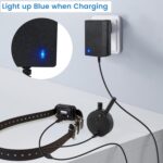 E Collar Charger for Mini Educator 300 400 ET-300 ET-400 Dog Training Collars, Shock Collar Dual Lead Charging Cable Power Adapter Cord by YEAOI