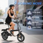 E14 E Bike Electric Bike for Adults 500W Motor, Folding Ebike 14", 48V 10Ah Removable Battery UL 2849 Certified, 30 Miles PAS Range, Mini E Bikes for Teens by RPINT