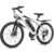 Electric Bike for Adults, 26” 1000W Peak Ebike, Up to 50 Miles 21.7MPH Electric Mountain Bike with 48V Removable Battery, Adjustable Stem, Lockable Suspension Fork, 21-Speed,… by Funhang