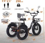 Electric Tricycle for Adults, 750W(Peak 1350W), 48V13Ah Ebike, 20"x4.0" Aluminum Folding Fat Tire 3 Wheel Electric Trike, Max 20MPH Hydraulic Brake, Rear Motor Differential by NARRAK