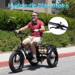 Electric Tricycle for Adults, 750W(Peak 1350W), 48V13Ah Ebike, 20"x4.0" Aluminum Folding Fat Tire 3 Wheel Electric Trike, Max 20MPH Hydraulic Brake, Rear Motor Differential by NARRAK