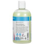 Ginger Lily Farms Botanicals Nourishing Body Wash, Island Tranquility, 100% Vegan & Cruelty-Free, Green Tea & Lemongrass Scent, 12 Fl Oz by Ginger Lily Farms