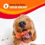 Good ‘n’ Fun Triple Flavor Kabobs Chews for All Dogs, 24 Ounces, Treat Your Dog to Chews Made from Beef Hide, Real Chicken, Pork Hide, Duck and Chicken Liver by Good 'n' Fun